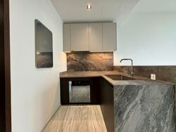 Leedon Green (D10), Condominium #460364411